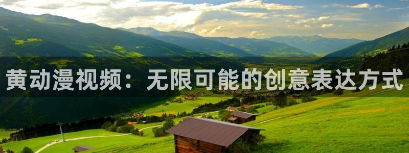囧次元是什么：黄动漫视频：无限可能的创意表达方式