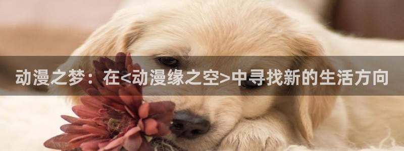 囧次元app最新：动漫之梦：在<动漫缘之空>中寻找新的生活方向