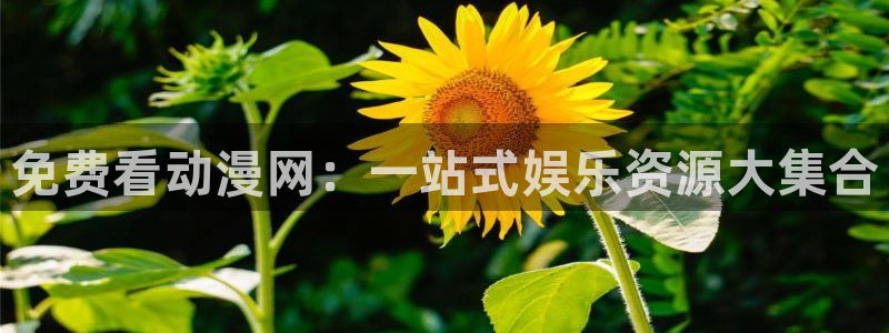 囧次元官方正版：免费看动漫网：一站式娱乐资源大集合