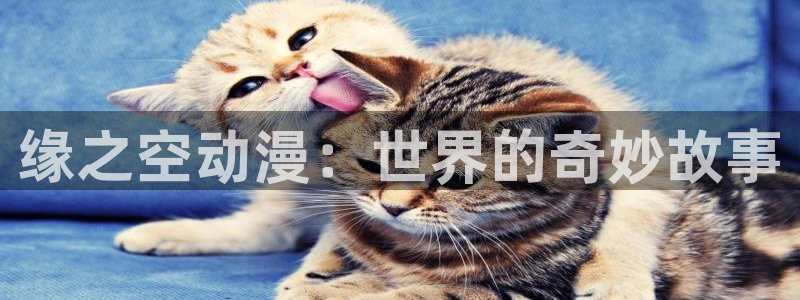 囧次元官方app下载：缘之空动漫：世界的奇妙故事