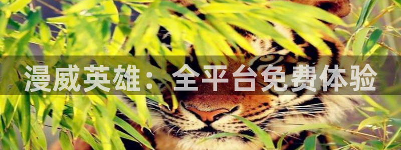 囧次元正版入口：漫威英雄：全平台免费体验