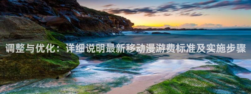 囧次元怎么下载：调整与优化：详细说明最新移动漫游费标准及实施步骤