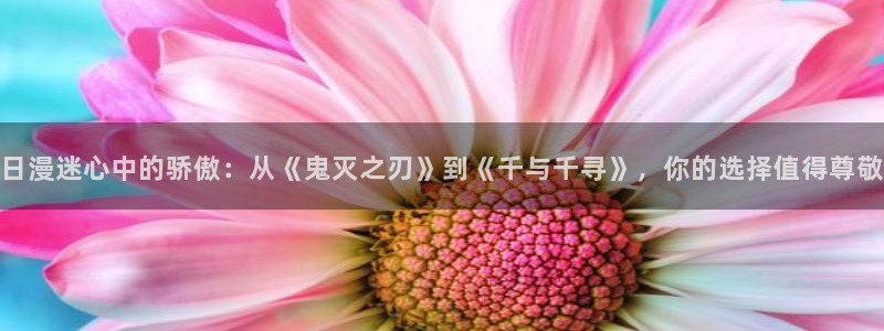 囧次元官方最新版：日漫迷心中的骄傲：从《鬼灭之刃》到《千与千寻》，你的选择值得尊敬